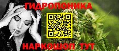 гашик Славгород