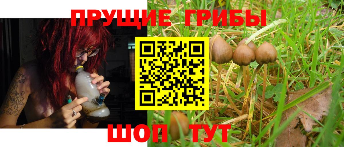 Новый Уренгой  где найти   Вход с VPN  Галлюциногенные грибы Psilocybine cubensis 